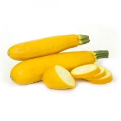 Zucchini Yellow