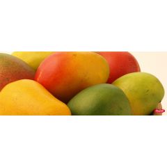 Mango Kotturkonam