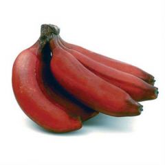 Banana Red Kappa
