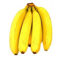 Banana Robusta