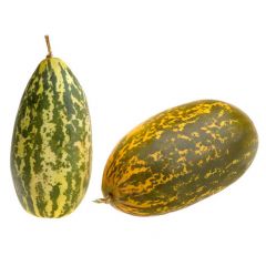 Cucumber- Madras