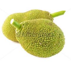 Tender Jackfruit