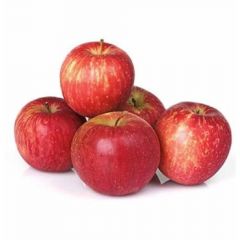 Apple Himachal