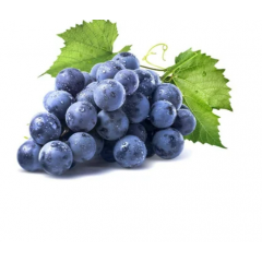 Grapes Banglore Blue
