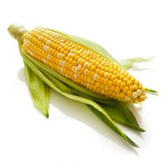 Sweet corn American - 1pcs 